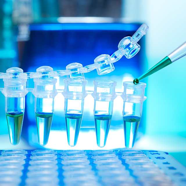 CASE(非泡PU)通用催化剂，适用于涂料、胶黏剂和密封胶等领域